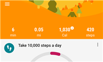 Google Fit Daily Step Export